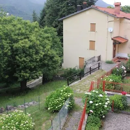 Paradiso Nel *
