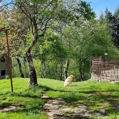 Paradiso Nel *